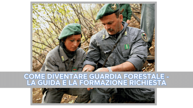 Come diventare Guardia Forestale - La guida e la formazione richiesta