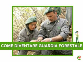 Come diventare Guardia Forestale - La guida e la formazione richiesta