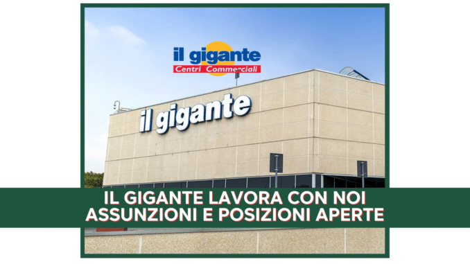 Il Gigante Lavora con noi - Assunzioni e Posizioni aperte